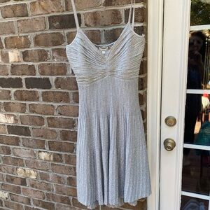Elegant Silver Women's Dress
